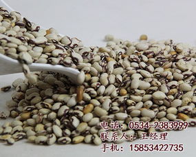 東旭糧油·五谷雜糧養(yǎng)生坊 重塑健康飲食新篇章